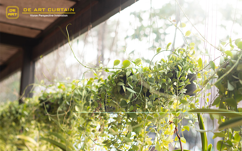 close up of outdoor balcony plants