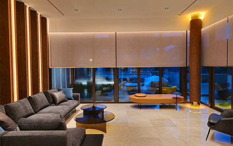 Modern pet-friendly living room interior design by DE&ART STUDIO.